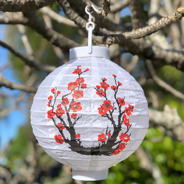 Đèn lồng được làm từ giấy in hoa đơn giản nhưng không kém phần ấn tượng, đẹp mắt