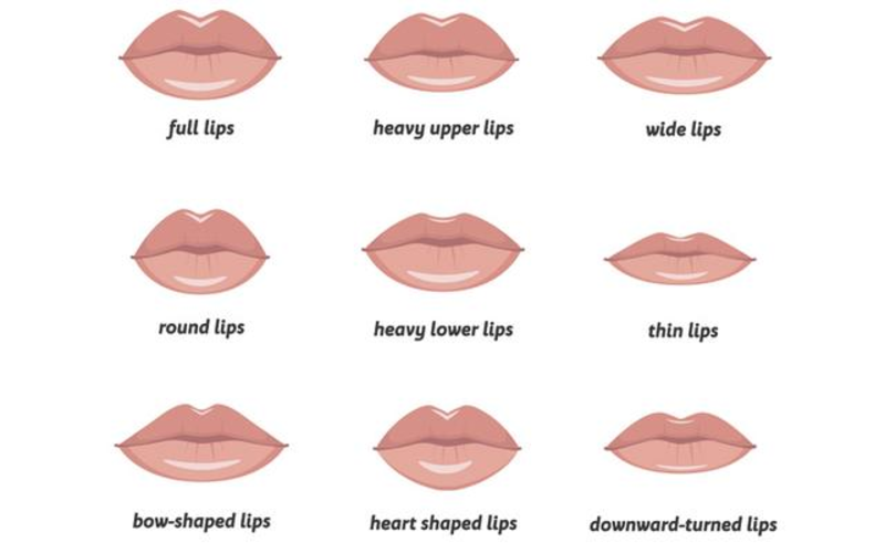 Các hình dạng của đôi môi