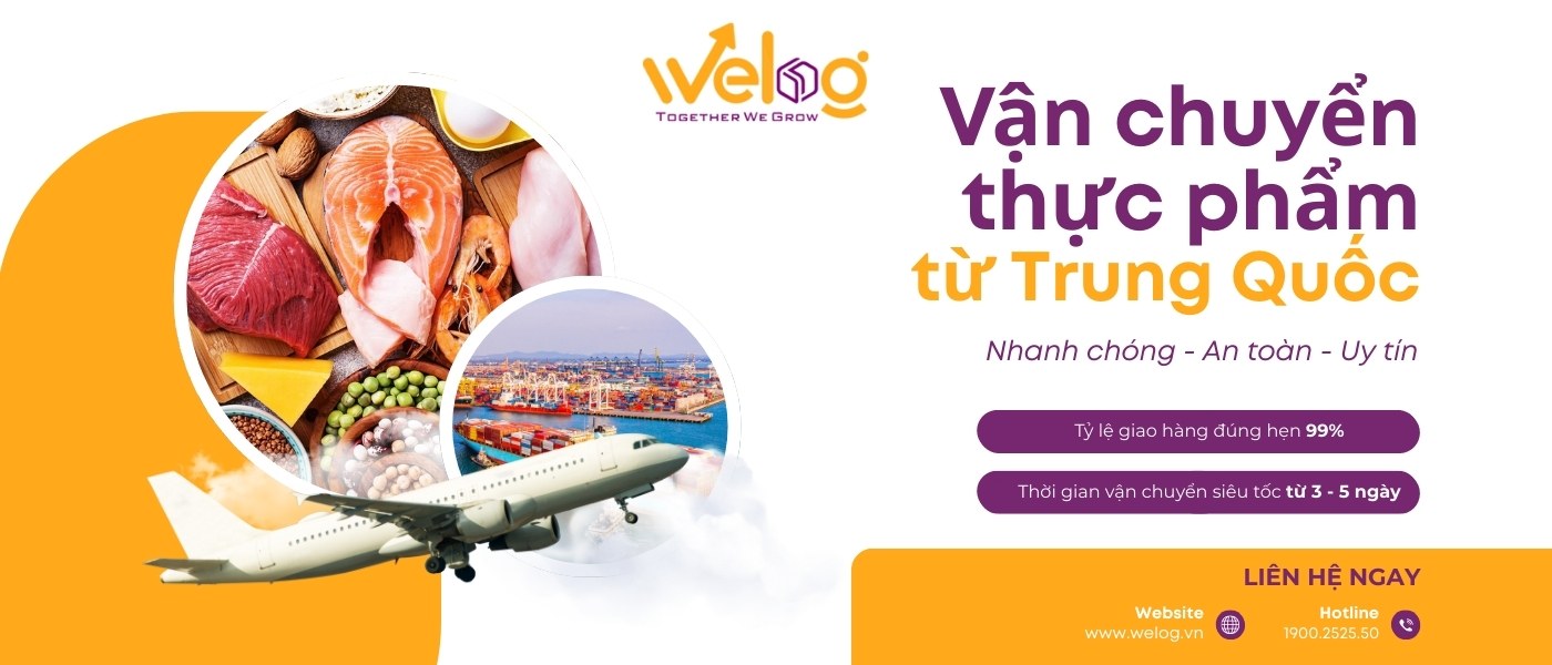Dịch vụ vận chuyển hàng thực phẩm từ Trung Quốc chuyên nghiệp tại WeLog