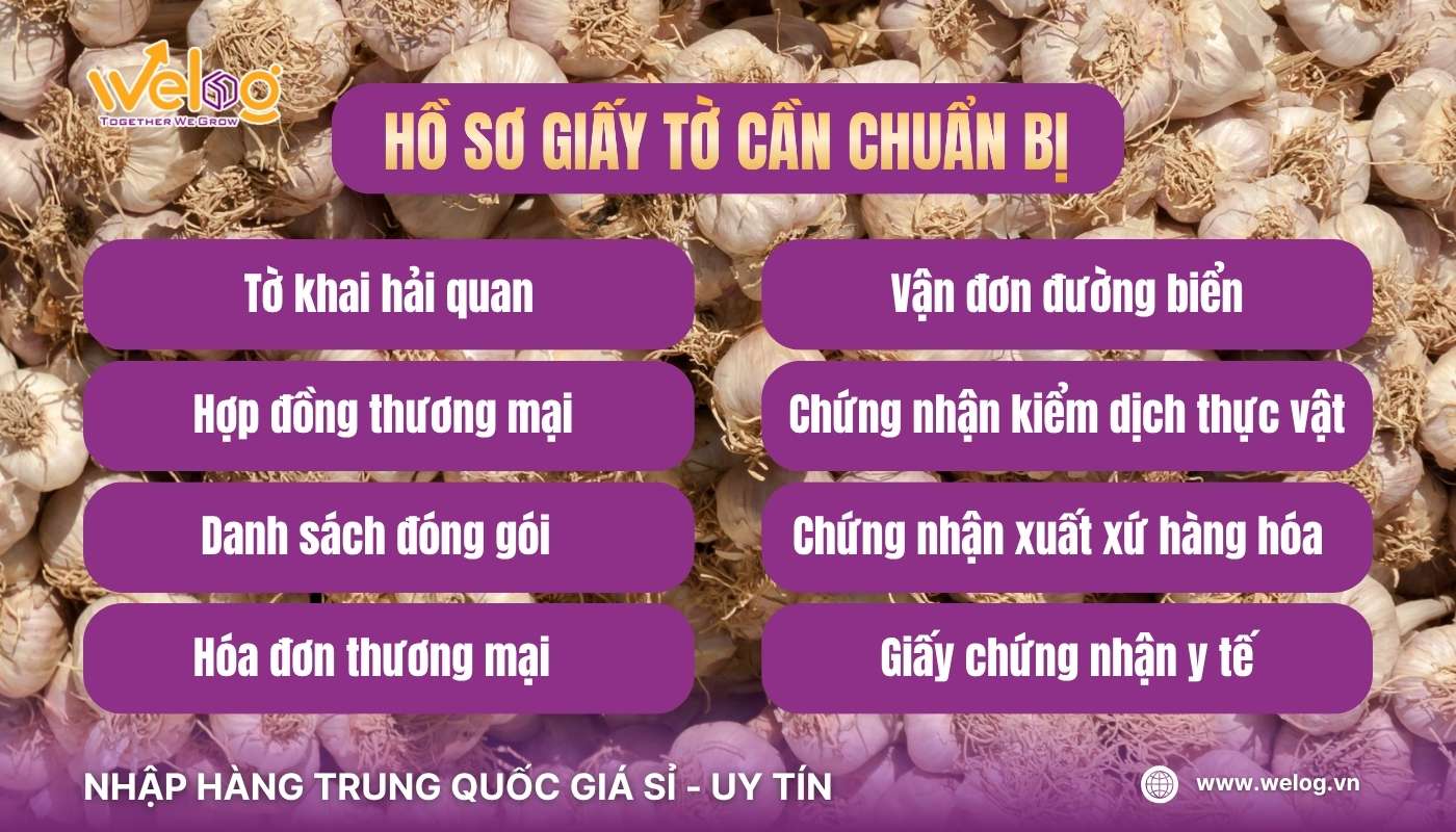 Hồ sơ giấy tờ cần chuẩn bị để nhập khẩu tỏi Trung Quốc về Việt Nam
