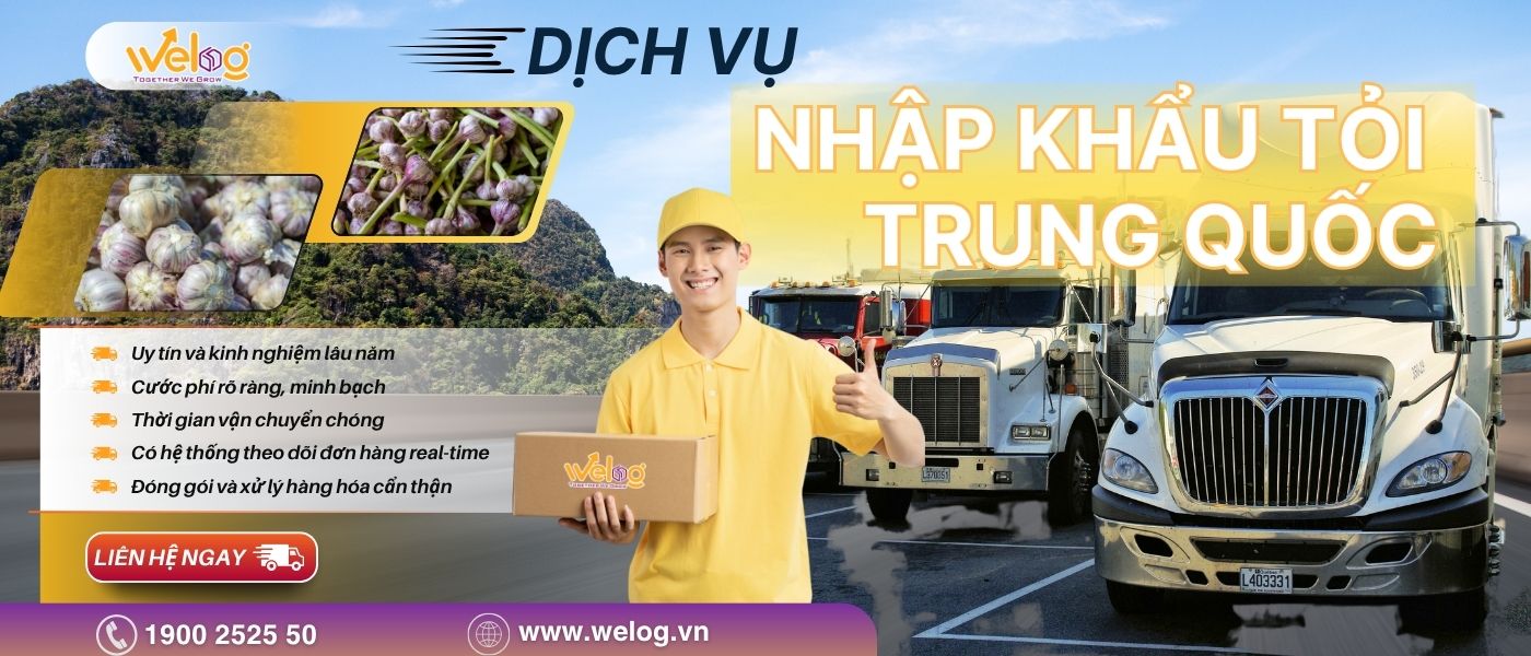 Liên hệ với WeLog để nhận tư vấn chi tiết về dịch vụ nhập khẩu tỏi nội địa Trung