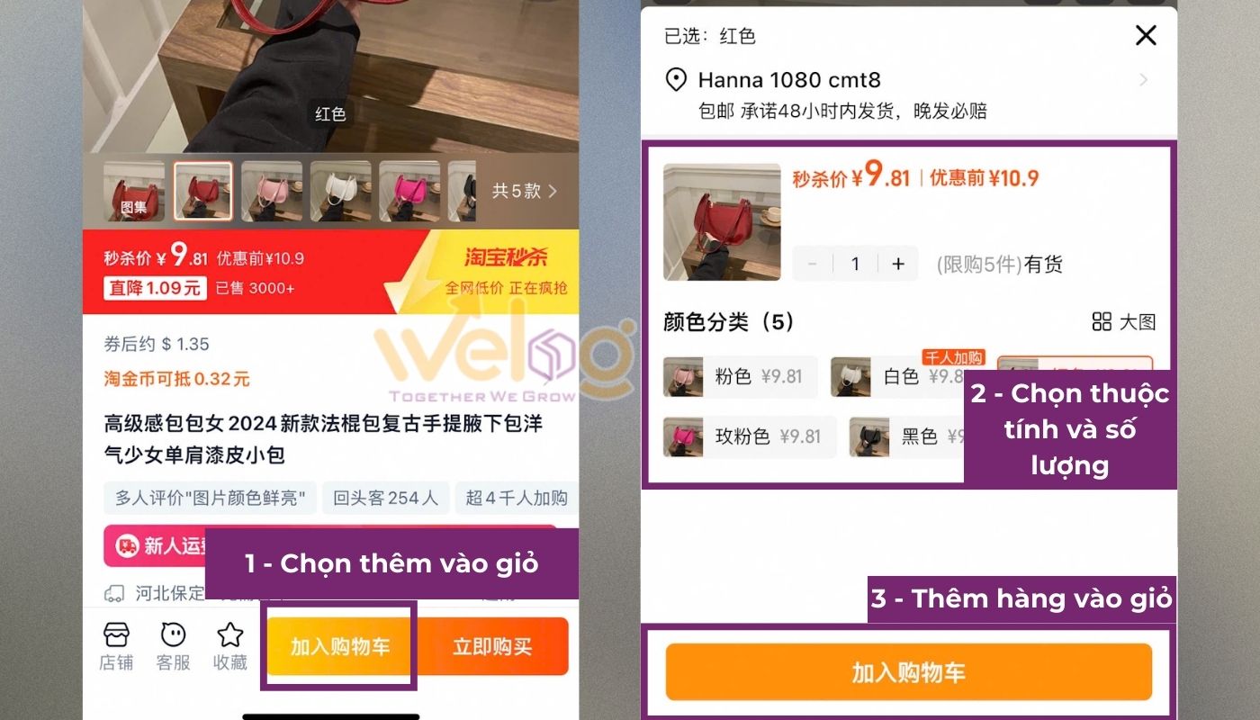 Thêm sản phẩm vào giỏ bằng cách nhấn “加入购物车” và chọn thuộc tính phù hợp