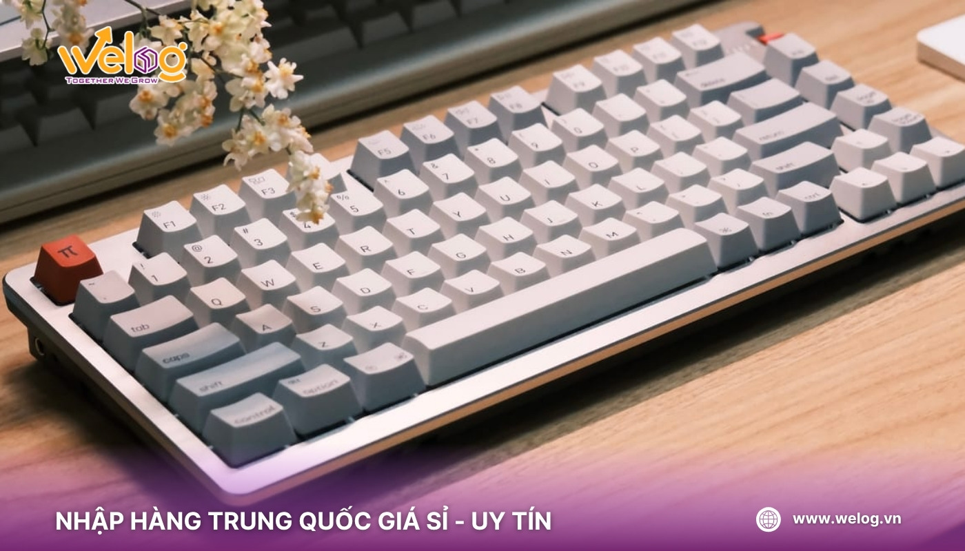 Nên chọn nhà cung cấp bàn phím Quảng Châu chất lượng có rõ thông tin, xem đánh giá kỹ để tránh nhập phải hàng lỗi, kém chất lượng
