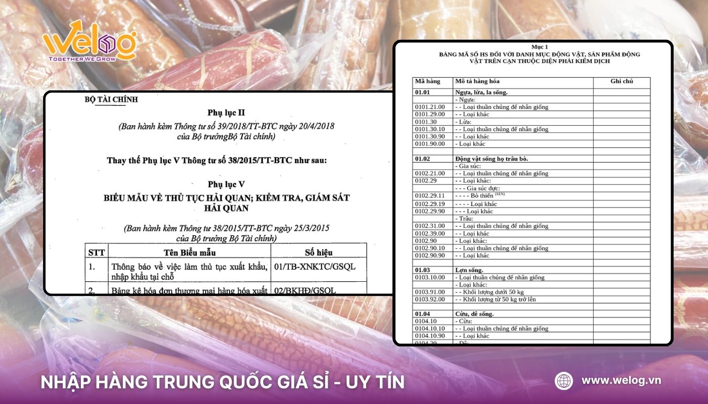 Quy định về thủ tục nhập khẩu xúc xích từ China