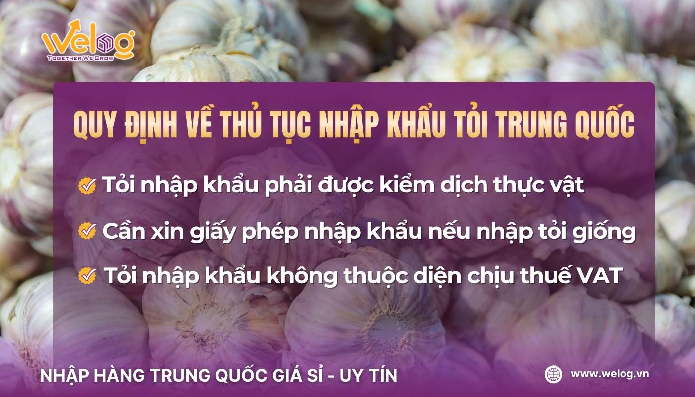 Quy định về thủ tục, quy trình nhập khẩu tỏi China