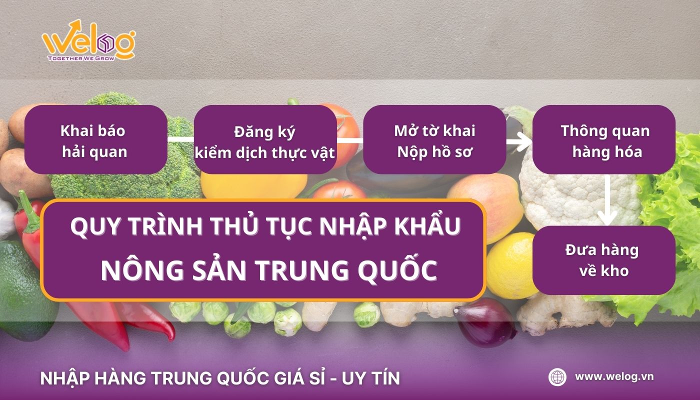 Toàn bộ quy trình thủ tục nhập khẩu nông sản Trung Quốc