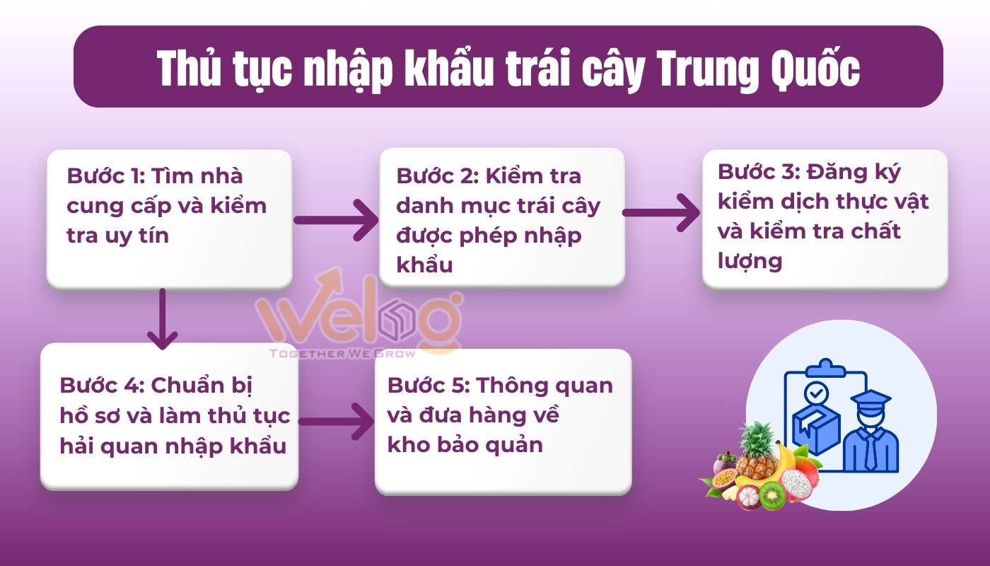 Tổng quan các bước thực hiện thủ tục nhập khẩu trái cây tươi China
