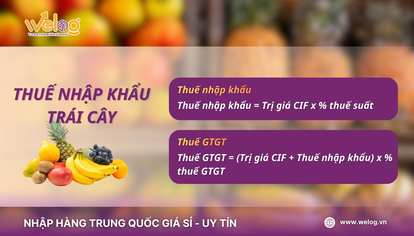 Các loại thuế nhập khẩu trái cây China theo quy định hiện hành