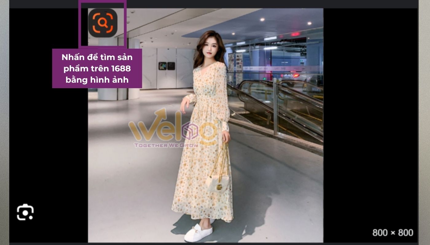 Dùng tính năng tìm bằng hình ảnh trên công cụ trợ lý 1688