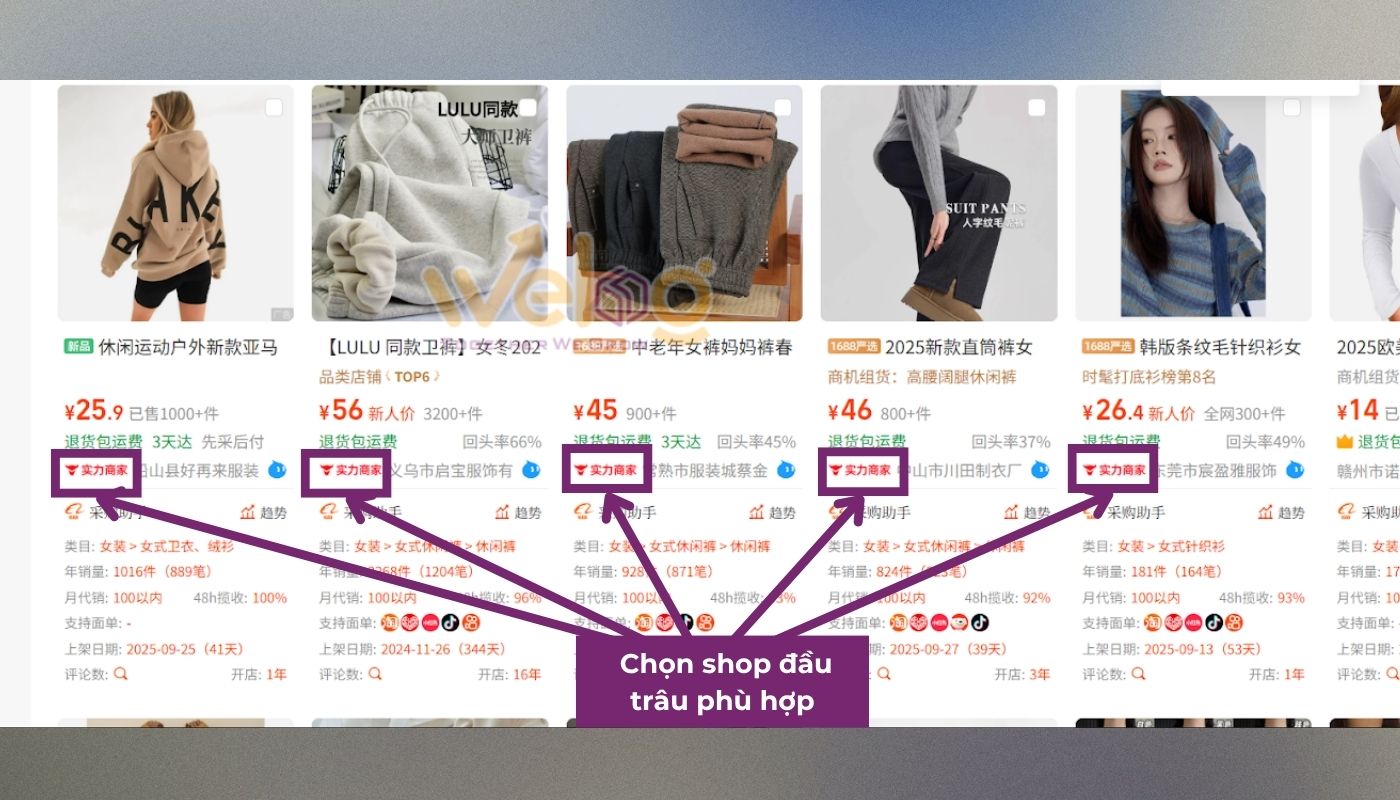 Chọn shop đầu trâu 1688 phù hợp qua Shili