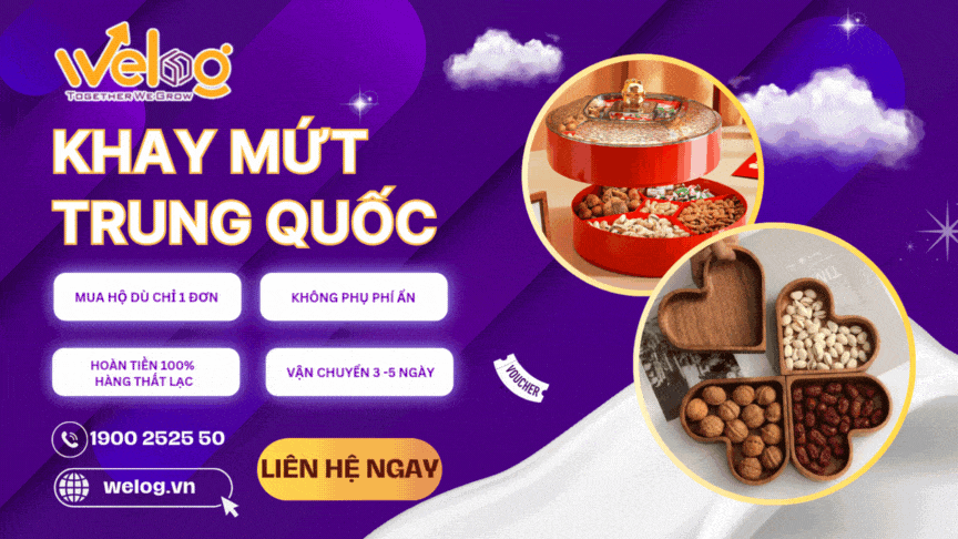 Nhập khay mứt Tết nội địa Trung Quốc với dịch vụ order hộ tại Welog
