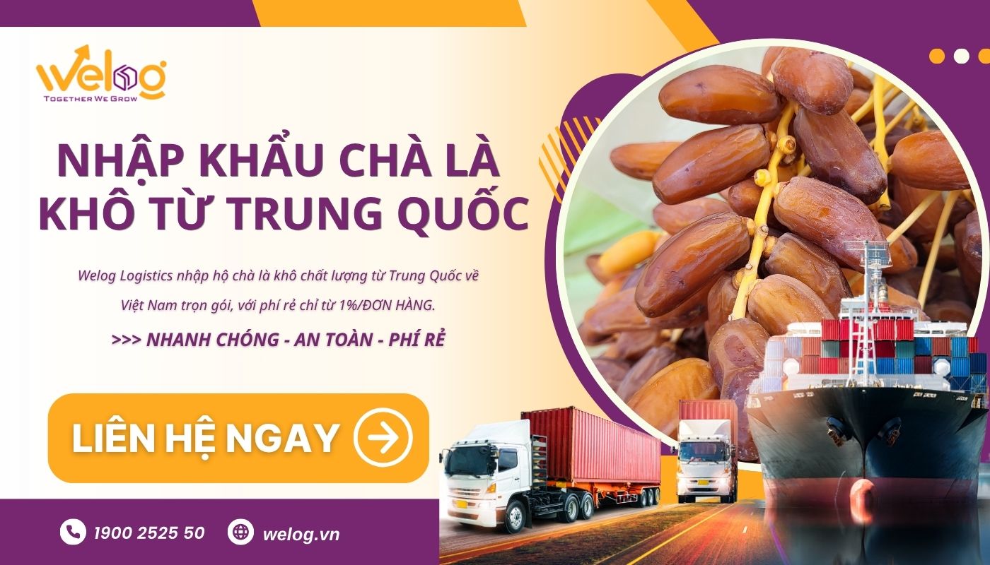 Dịch vụ nhập khẩu chính ngạch chà là khô từ Trung Quốc của Welog