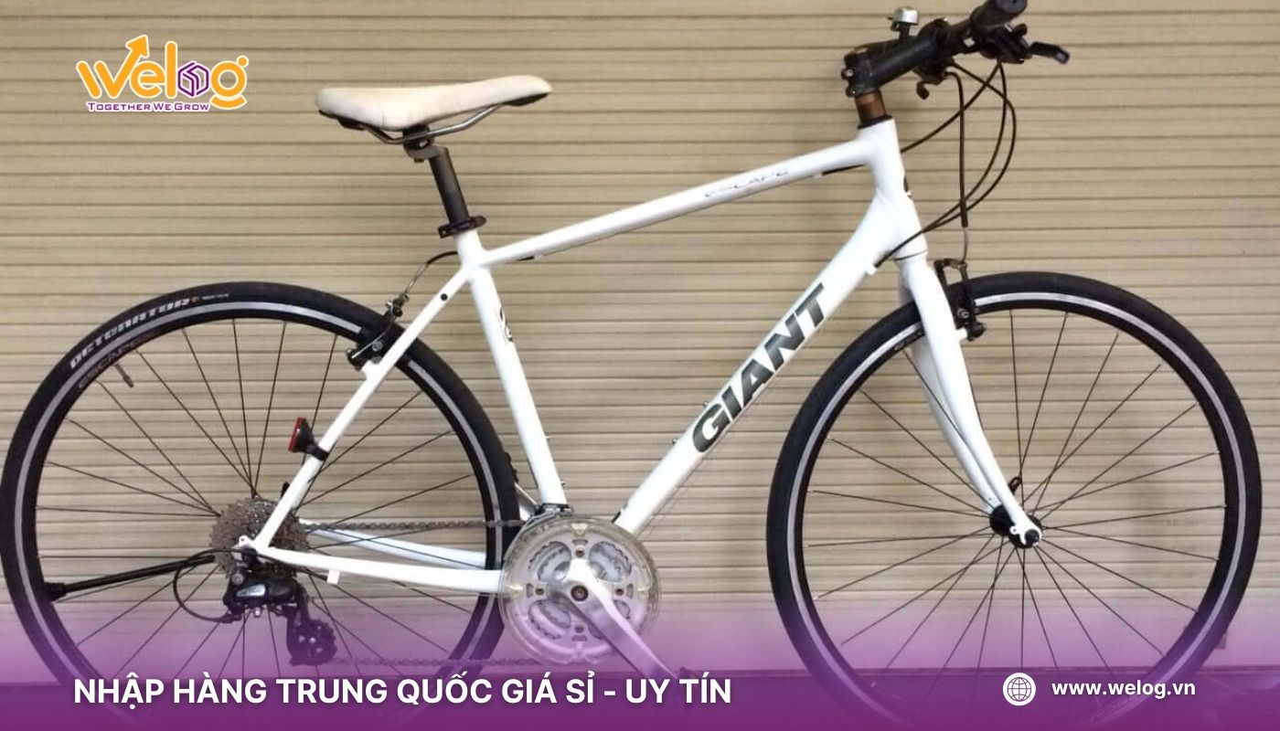 Giant – Nguồn hàng xe đạp Trung Quốc giá sỉ bán chạy nhất