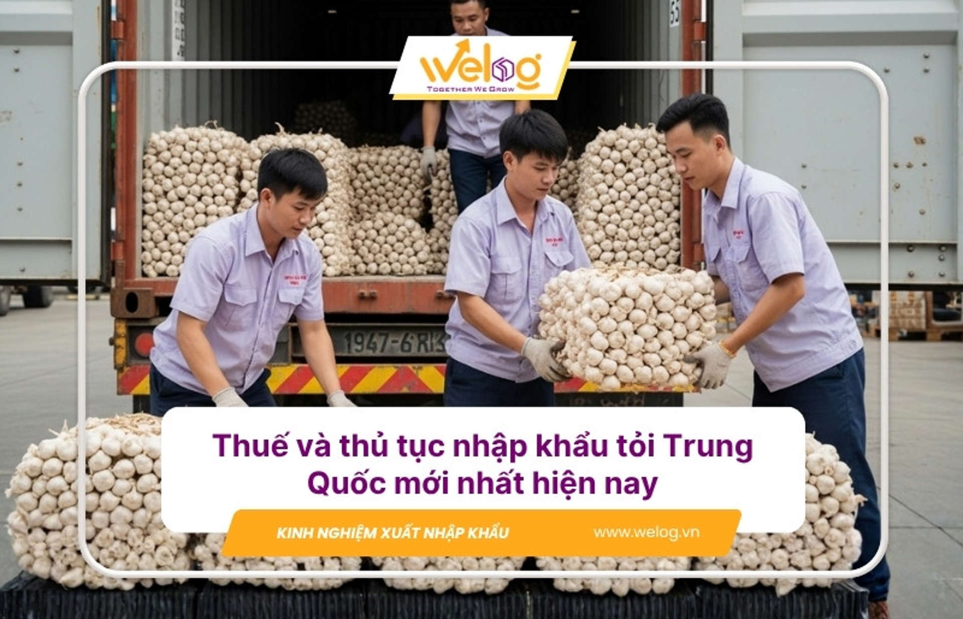 Cập nhật quy trình nhập khẩu tỏi Trung Quốc về Việt Nam