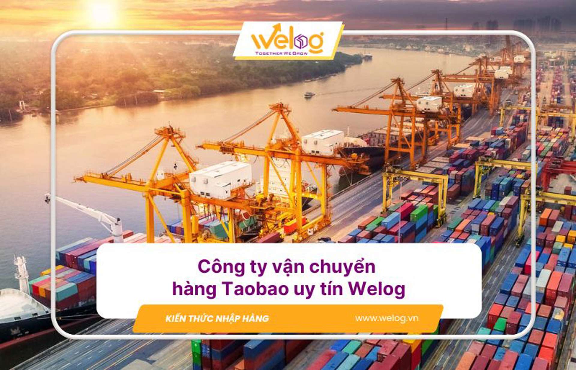 Công ty vận chuyển hàng Taobao uy tín 2025| Welog