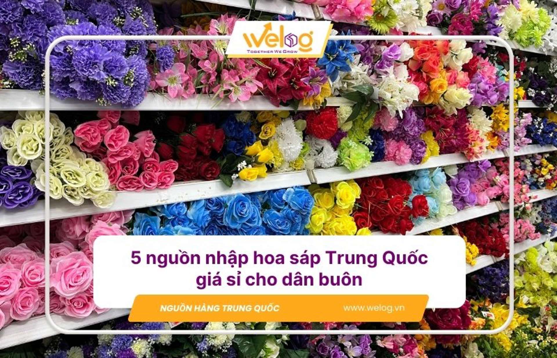 5 nguồn nhập hoa sáp Trung Quốc giá sỉ cho dân buôn