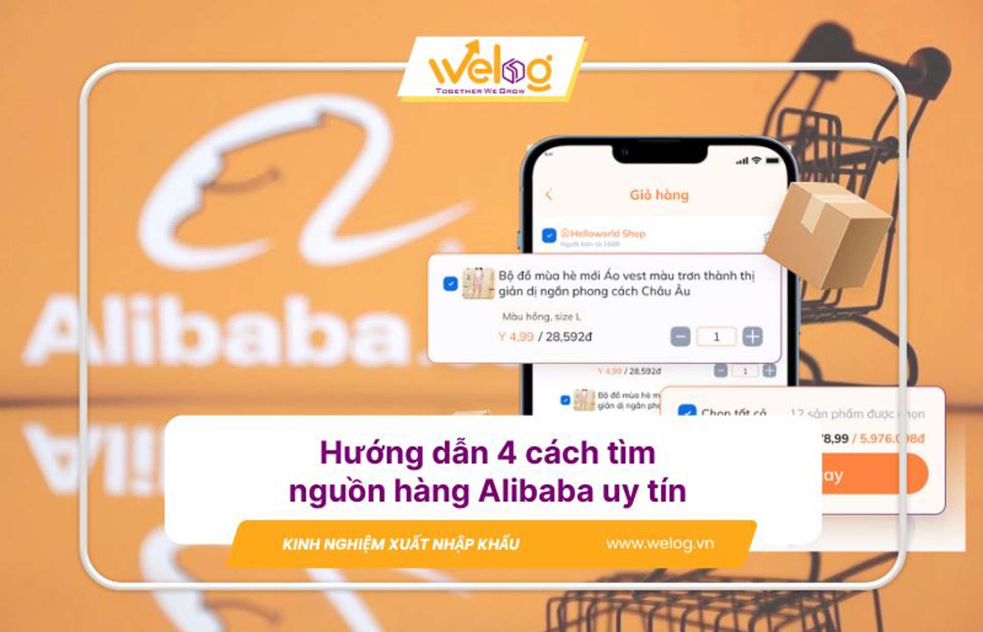 4 cách tìm nguồn hàng Alibaba uy tín giá sỉ