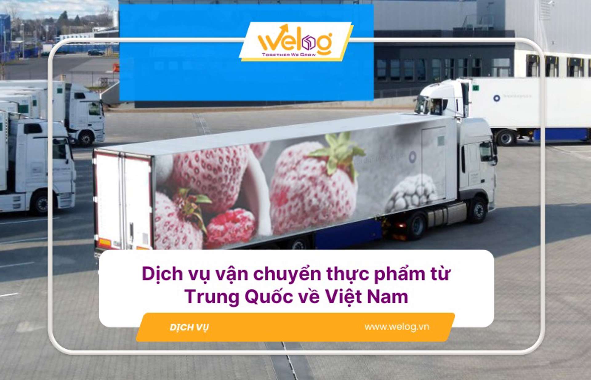 Dịch vụ nhập khẩu hàng thực phẩm Trung Quốc uy tín, giá tốt