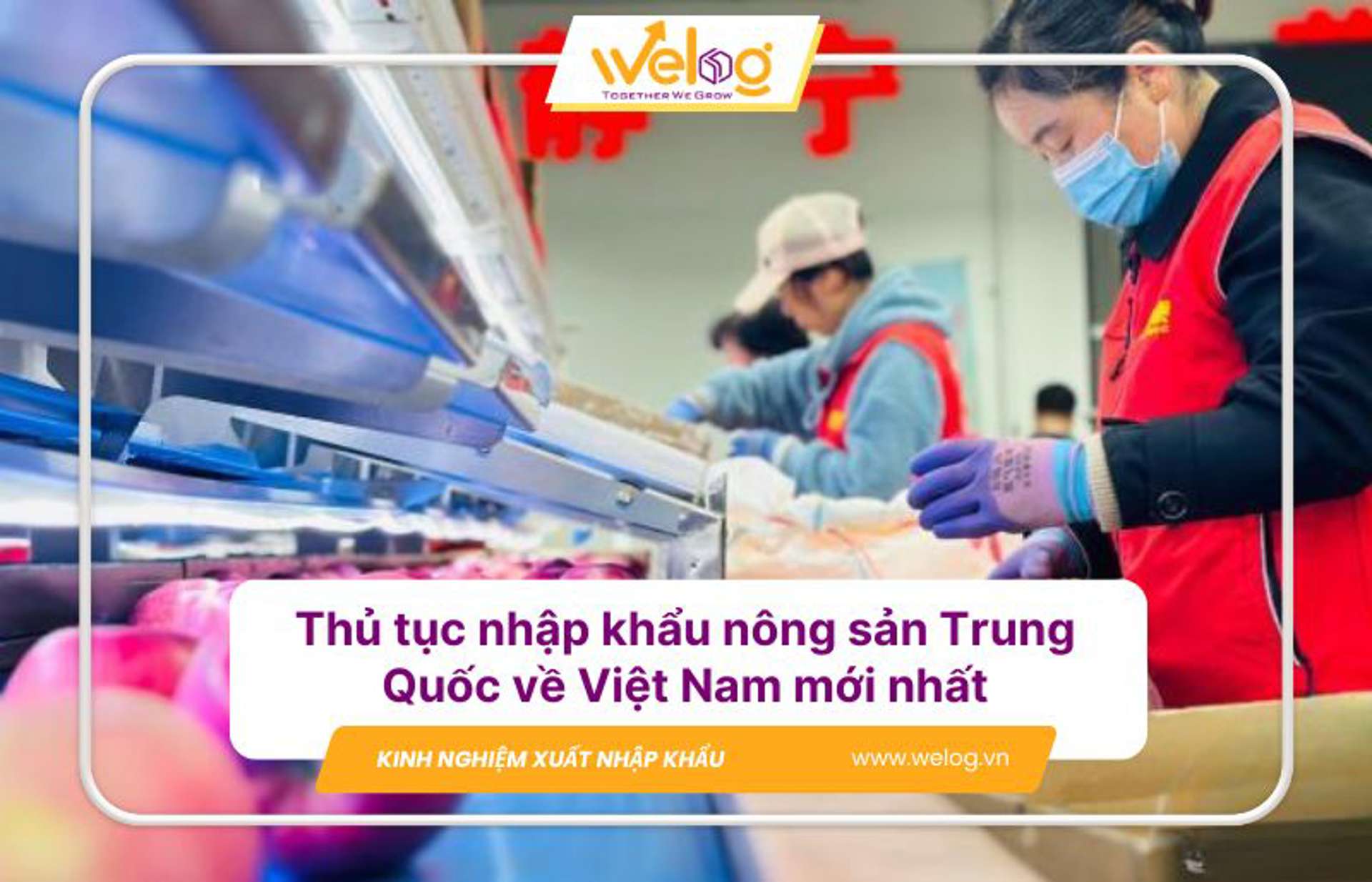 Toàn bộ quy trình về nhập khẩu nông sản Trung Quốc bạn cần biết