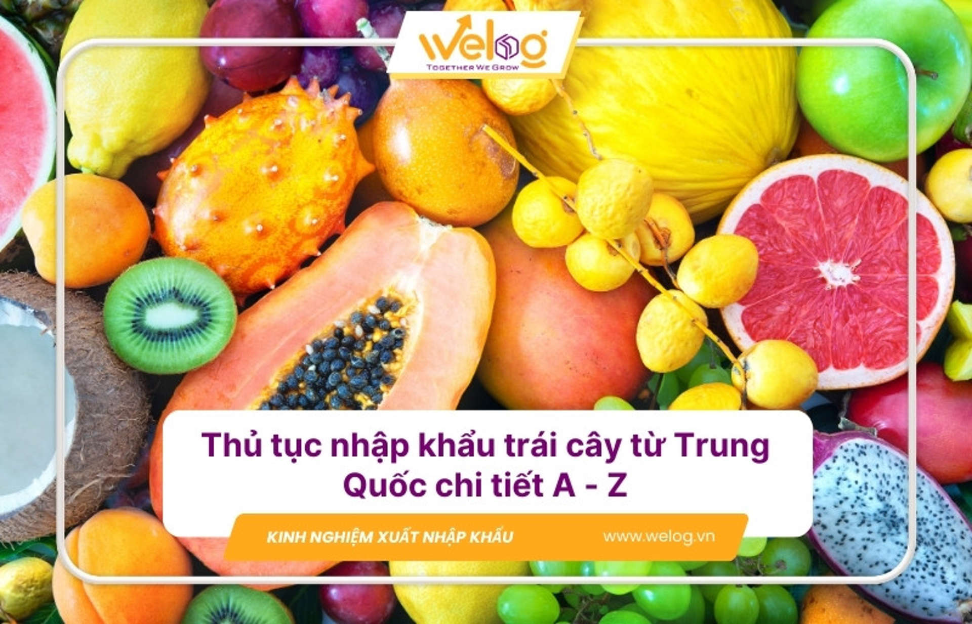 Toàn bộ quy trình nhập khẩu trái cây Trung Quốc vào Việt Nam