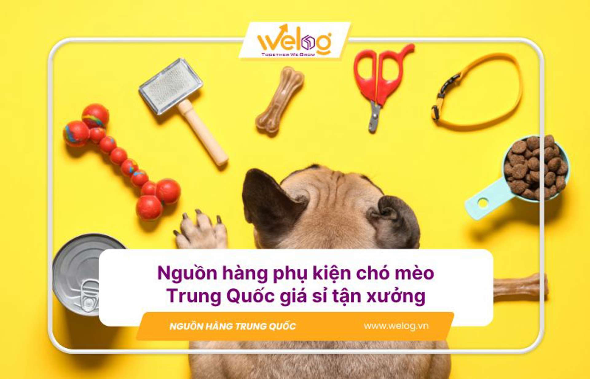 TOP nguồn nhập phụ kiện thú cưng Trung Quốc giá tốt nhất